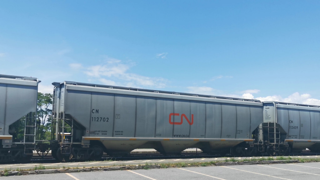 CN 112702